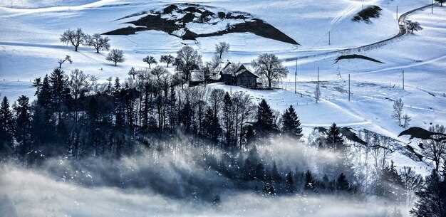 Artbongard Gallery Takes Winter Quarters in Verbier