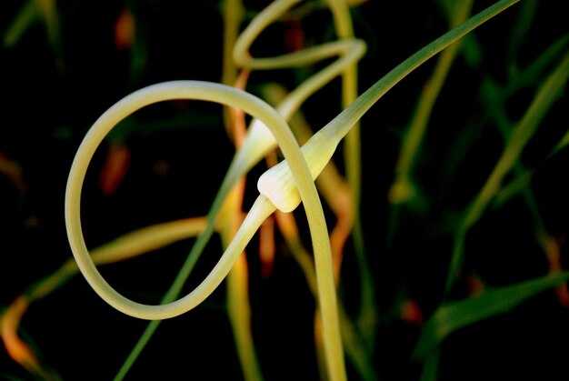 How Antoine Dufilho Builds the Illusion of Motion – Techniques